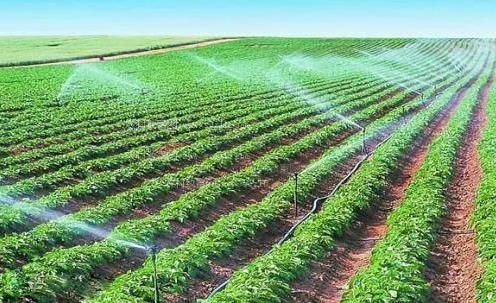 操阴视频农田高 效节水灌溉